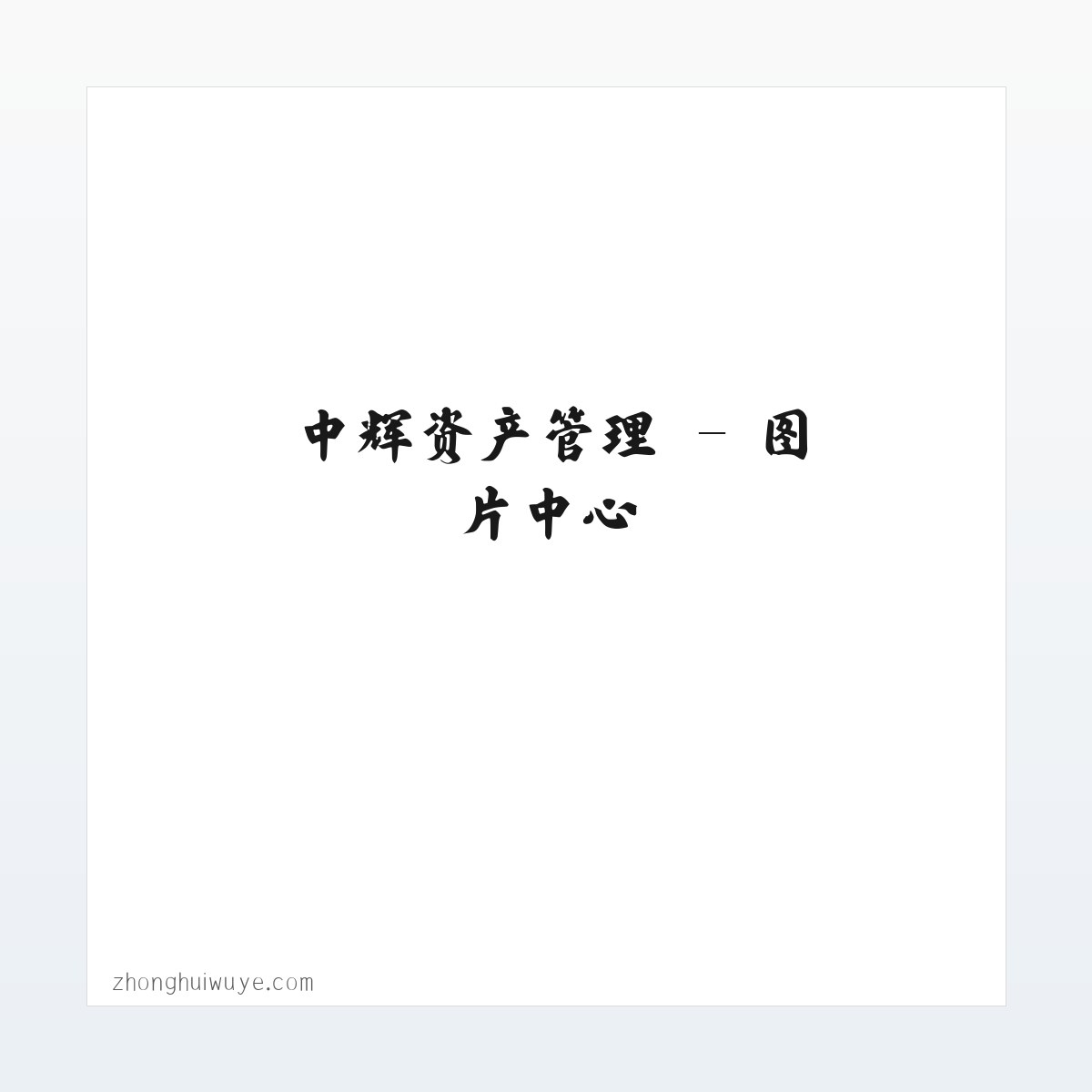 中辉资产管理 方图